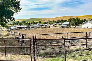 260 N E St, Lexington, OR 97839 - Photo 3