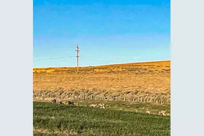 260 N E Street, Lexington, OR 97839 - Photo 21