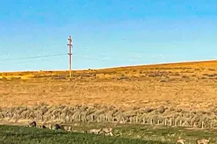 260 N E St, Lexington, OR 97839 - Photo 21