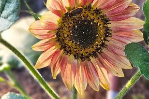 1540 NE Bear Creek Rd, Bend, OR 97701 - Photo 41