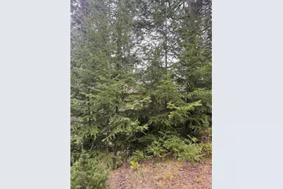 11000 Oregon 227, Trail, OR 97541 - Photo 25