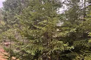 11000 Oregon 227, Trail, OR 97541 - Photo 27