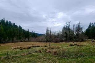 11000 Oregon 227, Trail, OR 97541 - Photo 9
