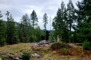 11000 Oregon 227, Trail, OR 97541 - Photo 17