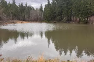 11000 Oregon 227, Trail, OR 97541 - Photo 21