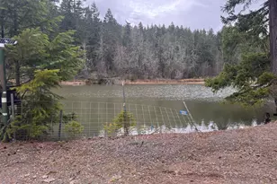 11000 Oregon 227, Trail, OR 97541 - Photo 33