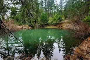 11000 Oregon 227, Trail, OR 97541 - Photo 35