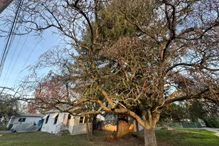 1052 W 12th St, Medford, OR 97501 - Photo 17