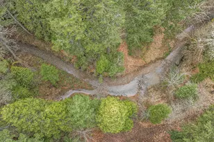 260 McMullen Creek Rd, Selma, OR 97538 - Photo 83