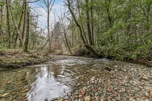 260 McMullen Creek Rd, Selma, OR 97538 - Photo 71