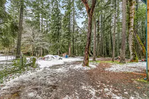 260 McMullen Creek Rd, Selma, OR 97538 - Photo 55