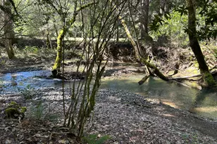 260 McMullen Creek Rd, Selma, OR 97538 - Photo 61