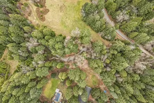 260 McMullen Creek Rd, Selma, OR 97538 - Photo 77