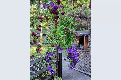 260 McMullen Creek Road, Selma, OR 97538 - Photo 63