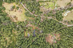 260 McMullen Creek Rd, Selma, OR 97538 - Photo 77