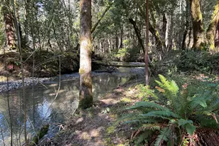 260 McMullen Creek Rd, Selma, OR 97538 - Photo 55