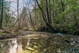 260 McMullen Creek Rd, Selma, OR 97538 - Photo 69