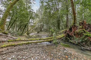 260 McMullen Creek Rd, Selma, OR 97538 - Photo 71