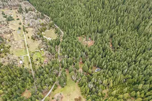 260 McMullen Creek Rd, Selma, OR 97538 - Photo 81