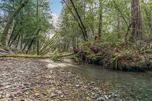 260 McMullen Creek Rd, Selma, OR 97538 - Photo 69