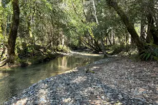 260 McMullen Creek Rd, Selma, OR 97538 - Photo 59