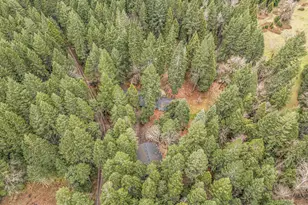 260 McMullen Creek Rd, Selma, OR 97538 - Photo 85