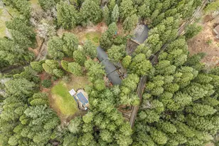 260 McMullen Creek Rd, Selma, OR 97538 - Photo 83