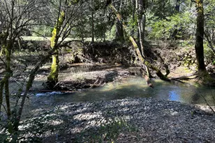 260 McMullen Creek Rd, Selma, OR 97538 - Photo 57