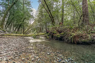 260 McMullen Creek Road, Selma, OR 97538 - Photo 67