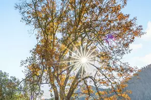 13688 Hwy 238, Applegate, OR 97530 - Photo 7