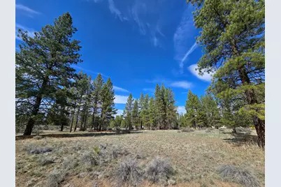Keno Springs Road #25, Bonanza, OR 97623 - Photo 7