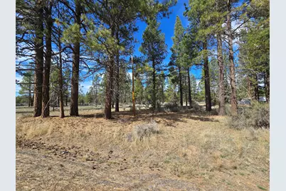 Keno Springs Road #25, Bonanza, OR 97623 - Photo 5