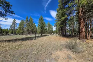 Keno Springs Rd, Bonanza, OR 97623 - Photo 1
