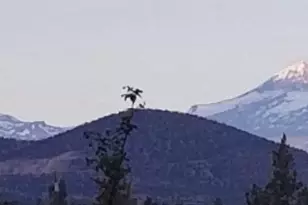 2240 NW Oak Ct, Redmond, OR 97756 - Photo 55