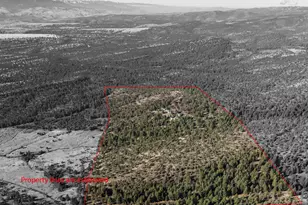 31367 Clarks Creek Rd, John Day, OR 97845 - Photo 47