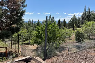 31367 Clarks Creek Rd, John Day, OR 97845 - Photo 9