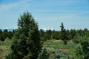 16264 SW Majestic View Ln, Powell Butte, OR 97753 - Photo 53