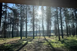 35956 Kenyon Trl, Bly, OR 97622 - Photo 3