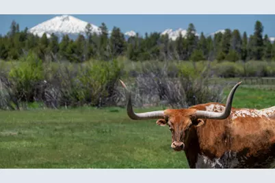 52255 Huntington Road, La Pine, OR 97739 - Photo 67