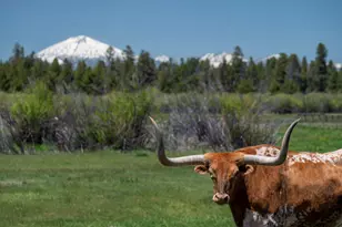 52255 Huntington Rd, La Pine, OR 97739 - Photo 67