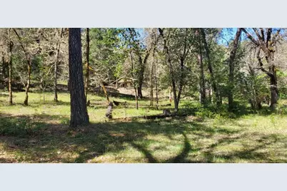 11238 E Evans Creek Road, Rogue River, OR 97537 - Photo 17
