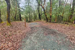 11238 E Evans Creek Rd, Rogue River, OR 97537 - Photo 27