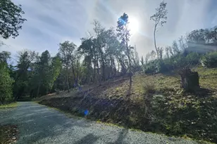 11238 E Evans Creek Rd, Rogue River, OR 97537 - Photo 43