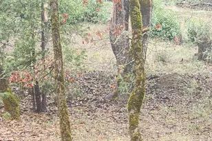 11238 E Evans Creek Rd, Rogue River, OR 97537 - Photo 31