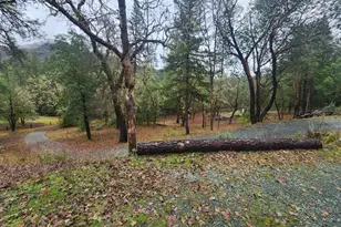 11238 E Evans Creek Rd, Rogue River, OR 97537 - Photo 33