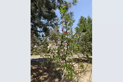 1406 Circle Bar Drive, La Pine, OR 97739 - Photo 55