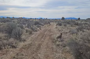 61461 Oil Dri Rd, Silver Lake, OR 97638 - Photo 23