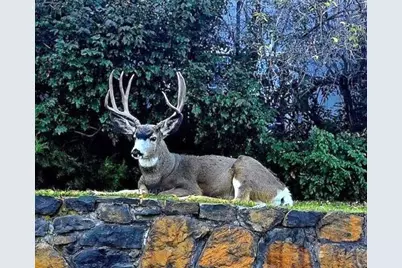 63790 Ranch Village Drive # 14, Bend, OR 97701 - Photo 39