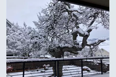 551 Sutton Place, Ashland, OR 97520 - Photo 43