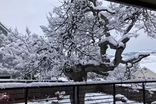 551 Sutton Pl, Ashland, OR 97520 - Photo 43